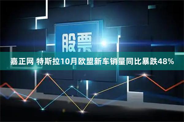 嘉正网 特斯拉10月欧盟新车销量同比暴跌48%
