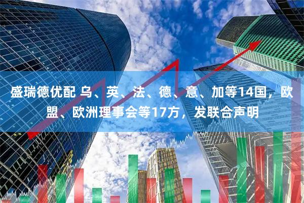 盛瑞德优配 乌、英、法、德、意、加等14国，欧盟、欧洲理事会等17方，发联合声明