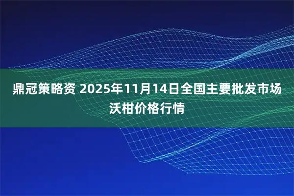 鼎冠策略资 2025年11月14日全国主要批发市场沃柑价格行情