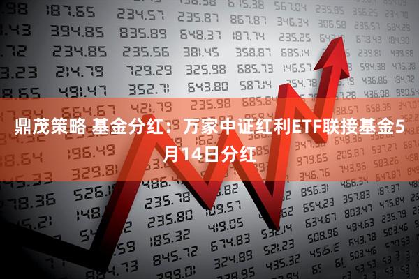 鼎茂策略 基金分红：万家中证红利ETF联接基金5月14日分红