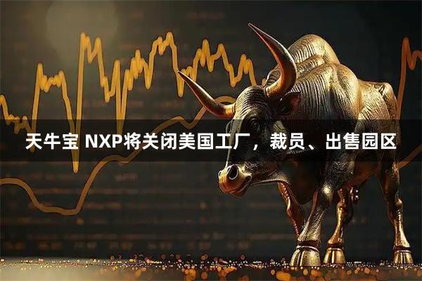 天牛宝 NXP将关闭美国工厂，裁员、出售园区