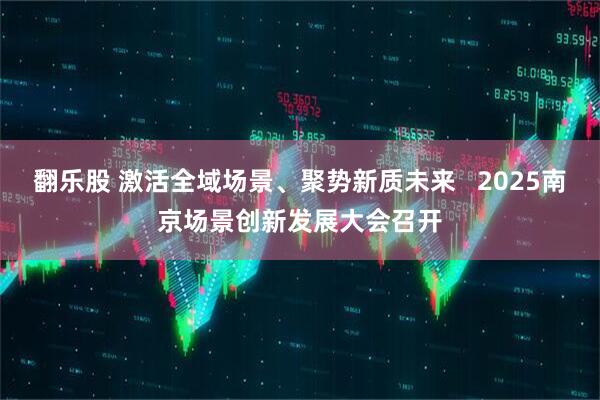 翻乐股 激活全域场景、聚势新质未来   2025南京场景创新发展大会召开