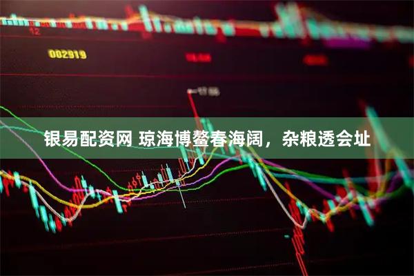 银易配资网 琼海博鳌春海阔，杂粮透会址