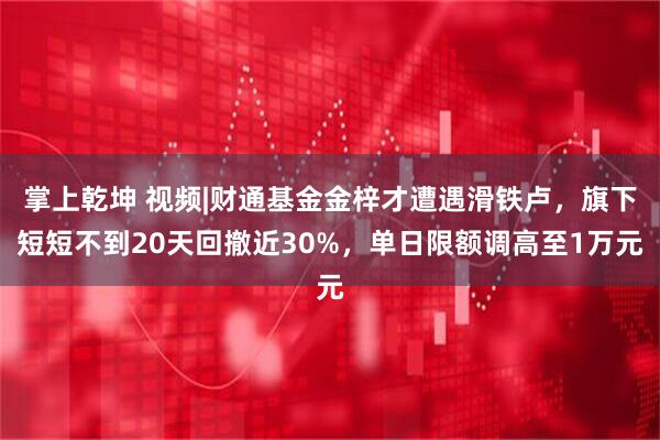 掌上乾坤 视频|财通基金金梓才遭遇滑铁卢，旗下短短不到20天回撤近30%，单日限额调高至1万元
